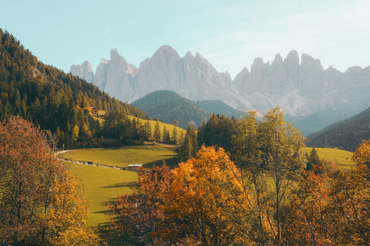 Cellular renewal through nature and healing